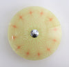 Glass ceiling 1950s No PL105